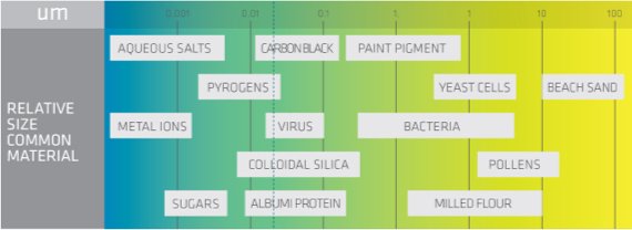 bacterias